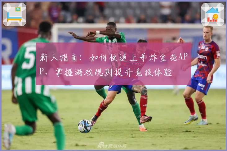 新人指南：如何快速上手炸金花APP，掌握游戏规则提升竞技体验