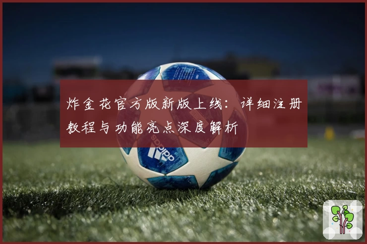 炸金花官方版新版上线:详细注册教程与功能亮点深度解析