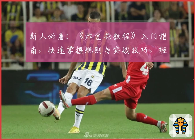 新人必看:《炸金花教程》入门指南,快速掌握规则与实战技巧,轻松上手体验牌桌乐趣