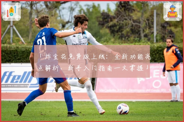 「炸金花免费版上线：全新功能亮点解析，新手入门指南一文掌握」