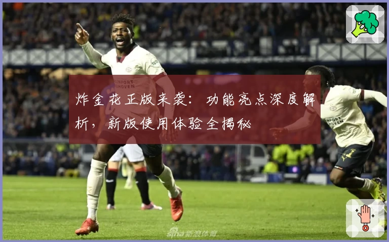 炸金花正版来袭：功能亮点深度解析，新版使用体验全揭秘