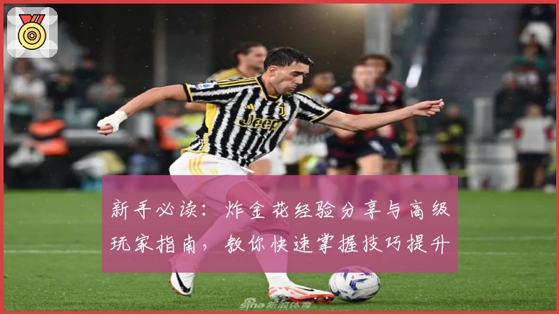 新手必读:炸金花经验分享与高级玩家指南,教你快速掌握技巧提升牌技